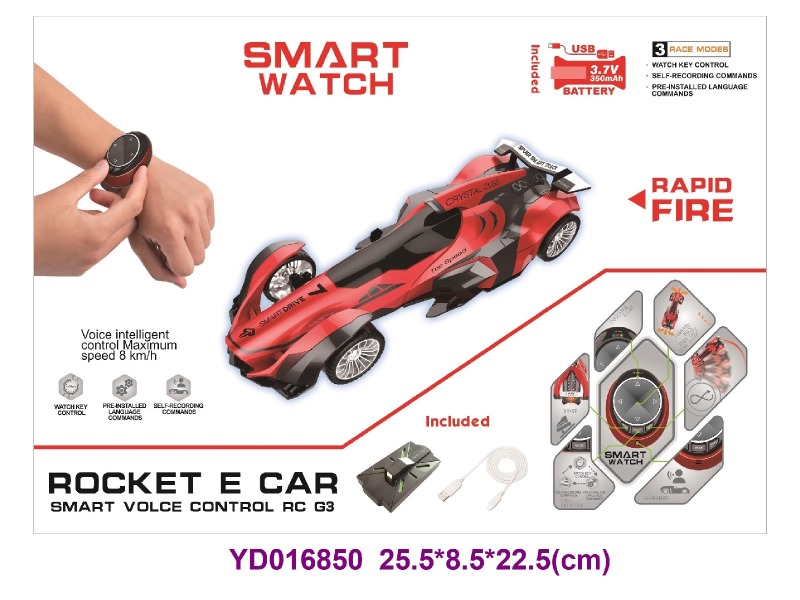 Voice controlled vehicle