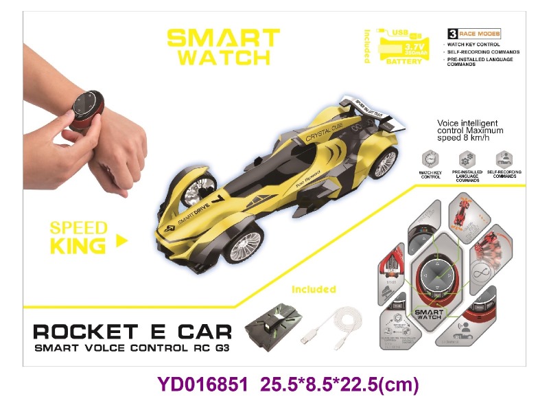 Voice controlled vehicle