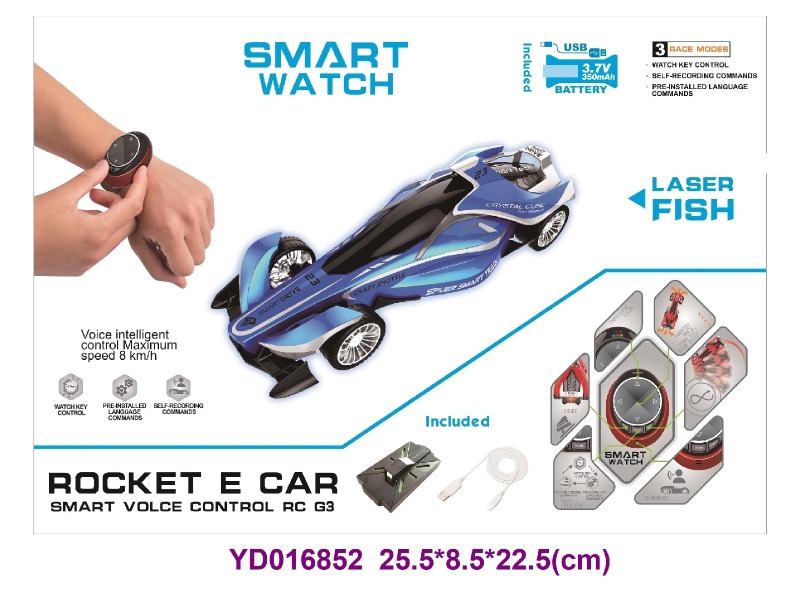 Voice controlled vehicle