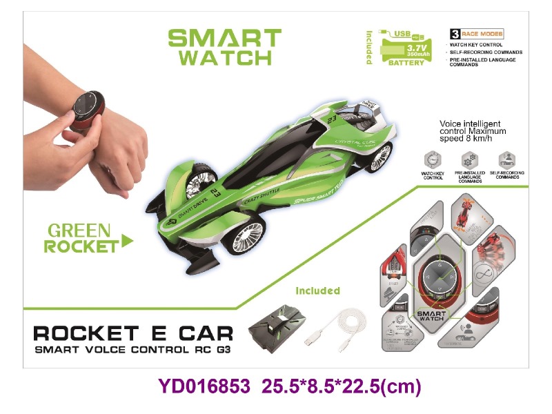 Voice controlled vehicle