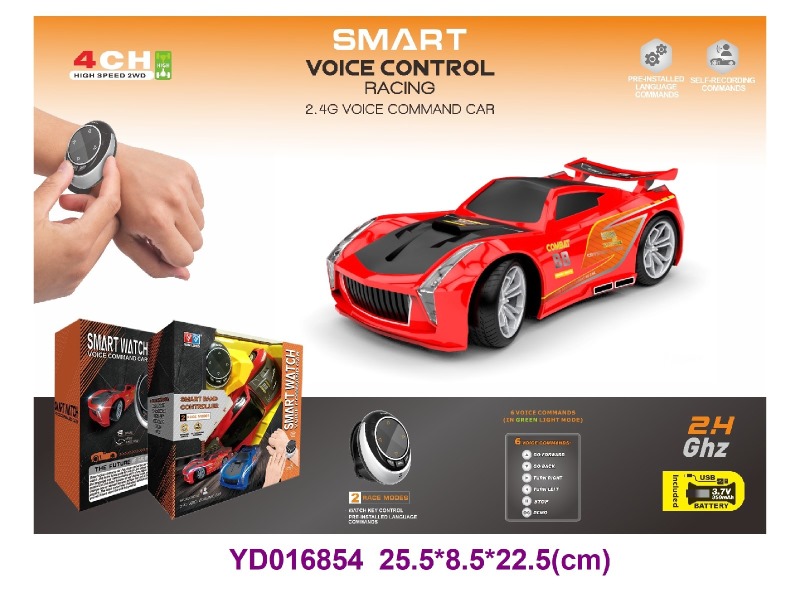 Voice controlled vehicle