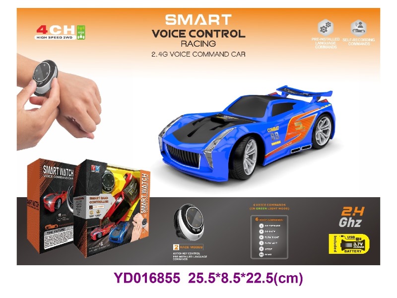 Voice controlled vehicle