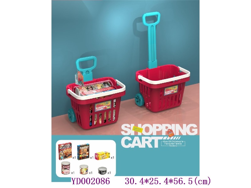 Shoppingt carts