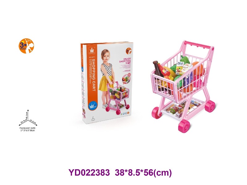Shoppingt carts