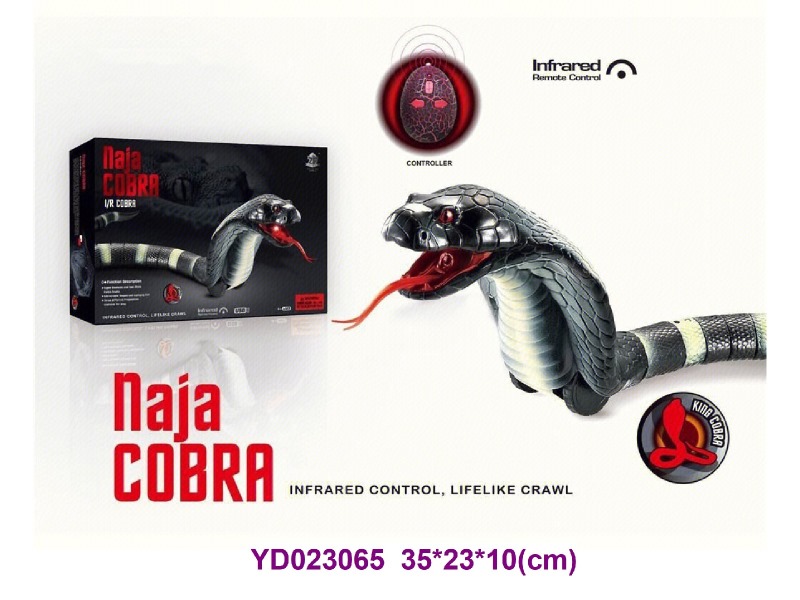 R/C TOYS