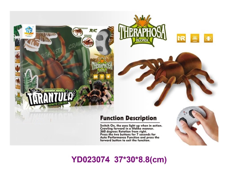 R/C TOYS W/LIGHT