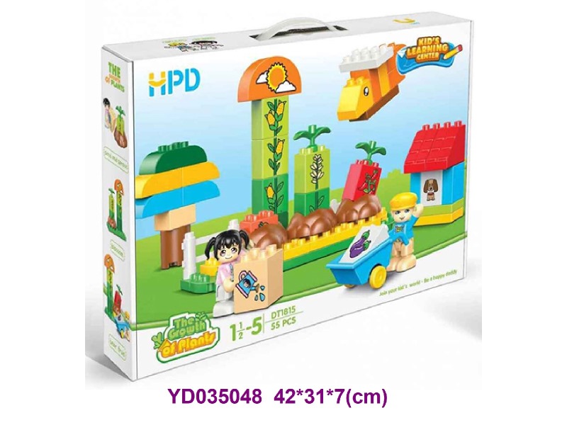 The Growth of Plants 55PCS