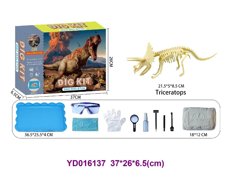 Archaeolohical   Series  -Dinosaur