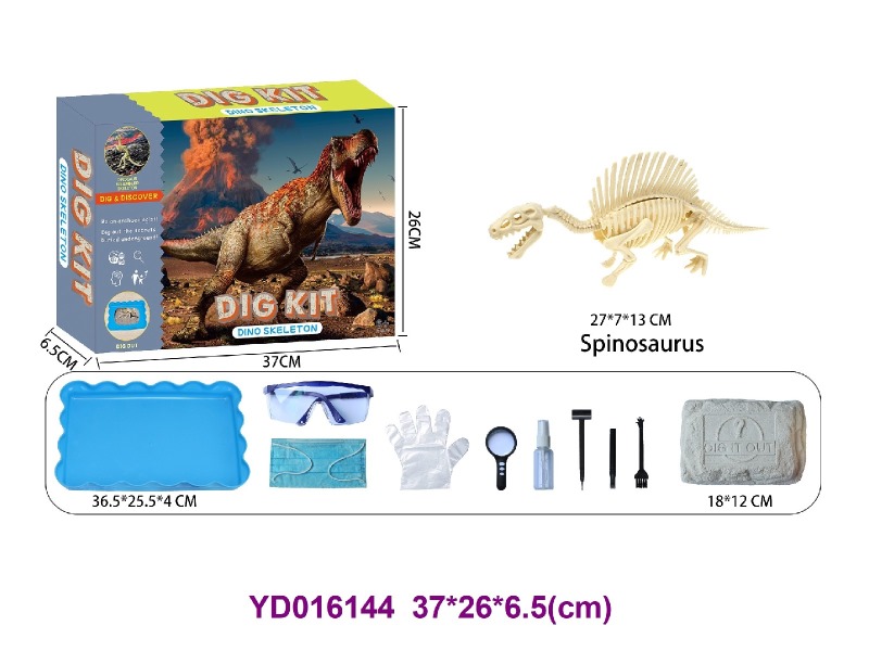 Archaeolohical   Series  -Dinosaur