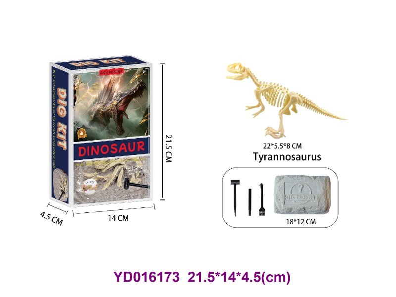 Archaeolohical   Series  -Dinosaur