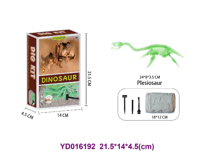 Archaeolohical   Series  -Dinosaur