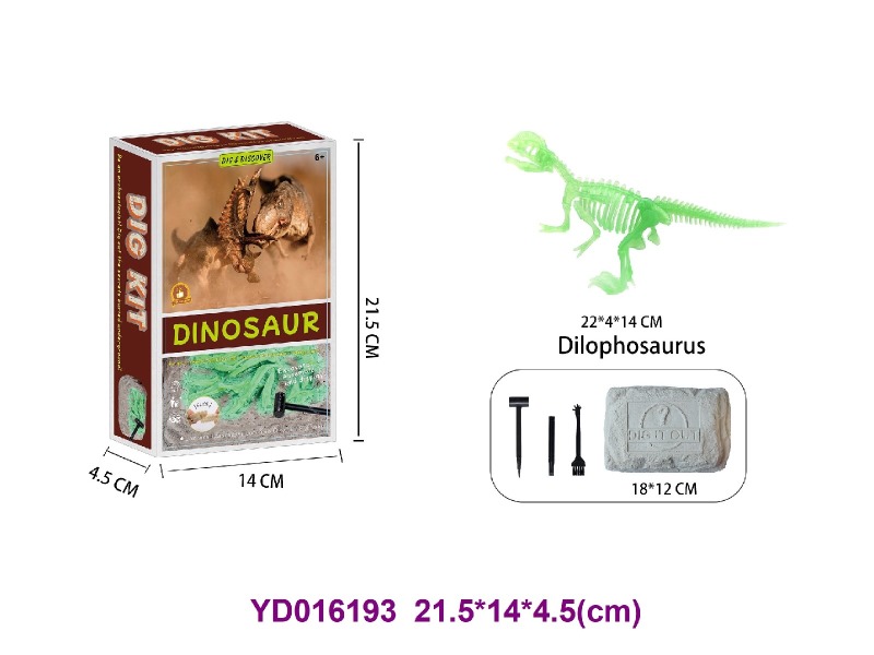 Archaeolohical   Series  -Dinosaur