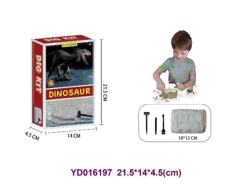 Archaeolohical   Series  -Dinosaur