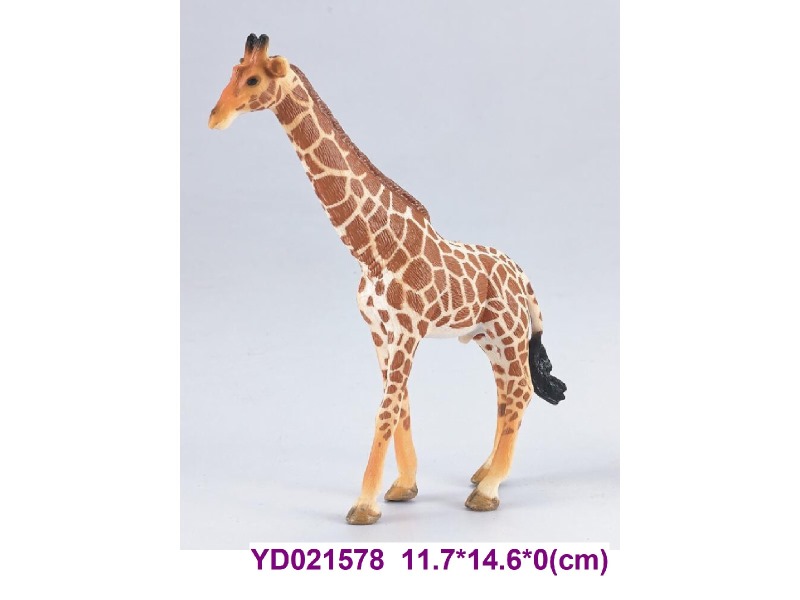 Enamel ANIMAL