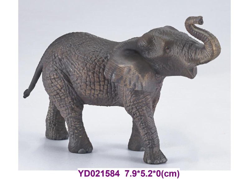 Enamel ANIMAL