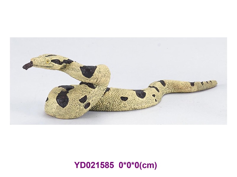 Enamel ANIMAL